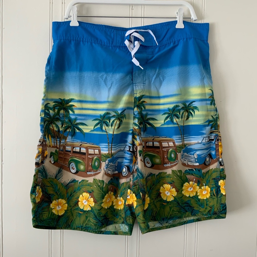 Big Dogs Blue and Yellow Scenic Swim Trunks